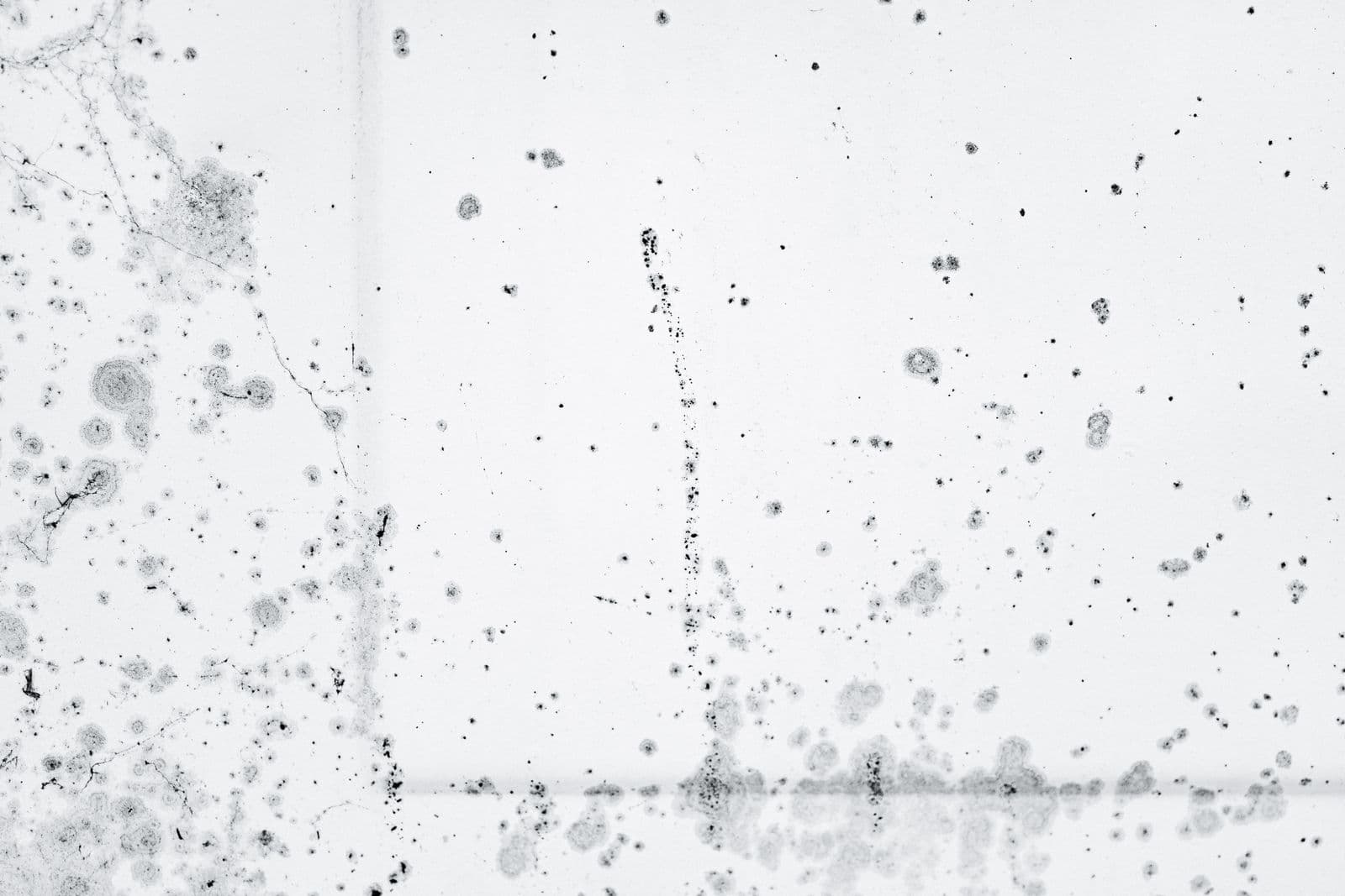Black mould on a white interior wall. An illustration of the mark a closed, damp room can show.